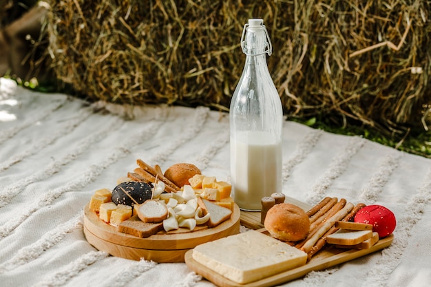 Surtido de quesos sobre tabla de madera con leche y pan en la naturaleza