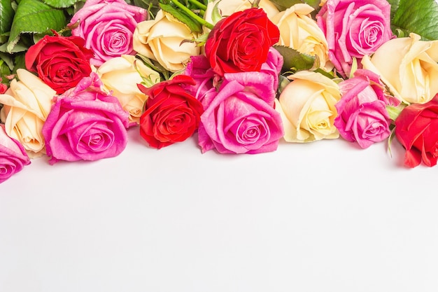 Surtido de rosas multicolores frescas aisladas sobre superficie blanca