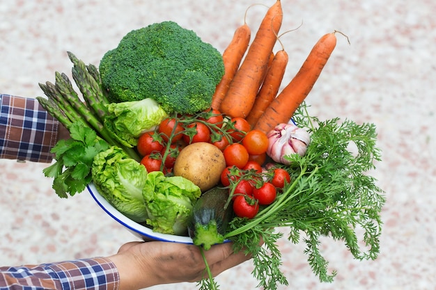 Surtido de verduras maduras de la huerta en manos de los granjeros Concepto de cosecha mercado agrícola orgánico bio alimentos entrega cero desperdicio concepto ecológico