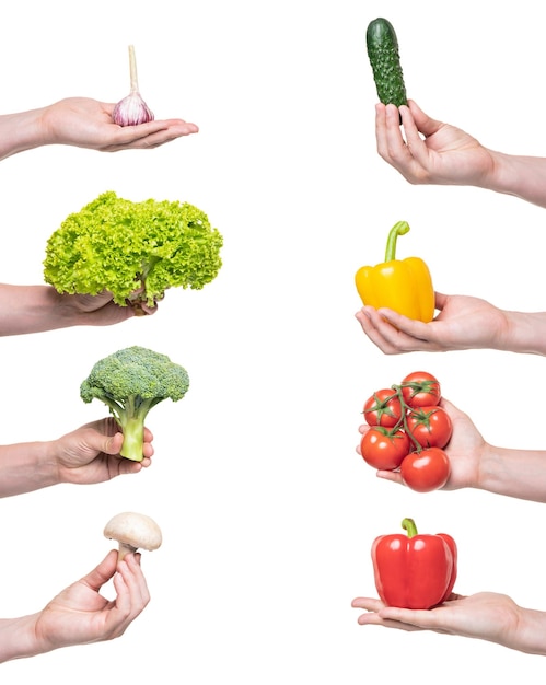 Surtido de verduras orgánicas frescas en la mano aislado sobre fondo blanco.