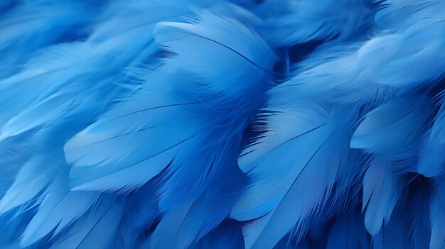 Foto susurros suaves enfoque suave pluma de pájaro fondo en un tranquilo tono azul