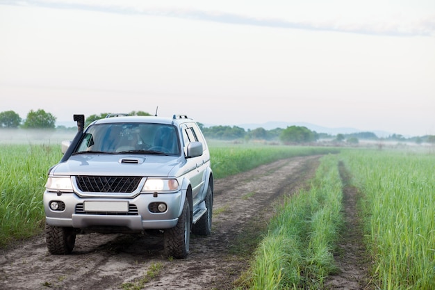 SUV 4x4 con snorkel en un campo en la mañana brumosa