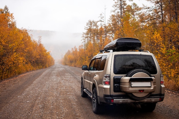 Foto suv auf malerischer herbststraße im wald