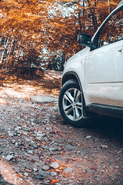 SUV-Auto am Waldweg-Kopierraum