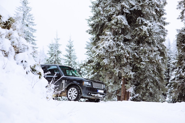 SUV-Auto im verschneiten Waldkopierraum