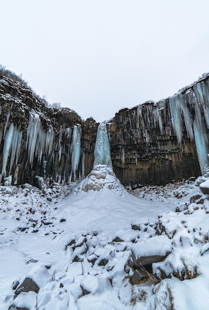 Svartifoss islândia cachoeira negra completamente congelada com estalactites azuladas e neve