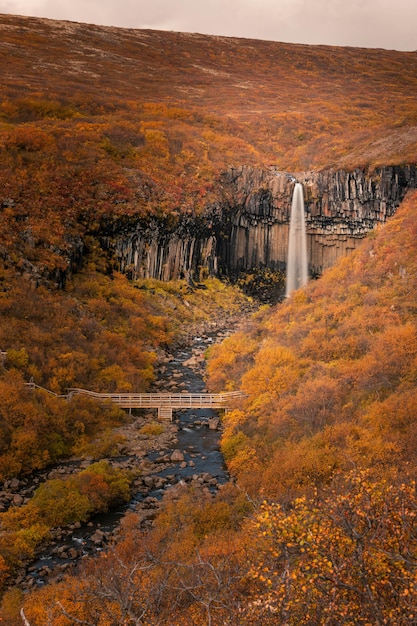 Svartifoss-Wasserfall in Nationalpark Skaftafell in Süd-Island.