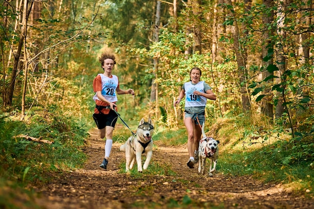 Svetly, oblast de Kaliningrado, Rússia - 2 de outubro de 2021 - Canicross cross country correndo com cães, mushers atléticos correndo com Husky siberiano e cachorro dálmata, esportes de corrida de cães de trenó ao ar livre