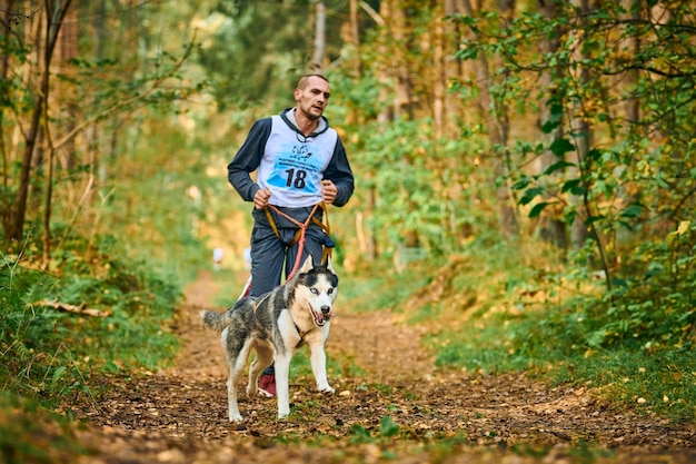 Svetly, Oblast Kaliningrad, Russland - 2. Oktober 2021 - Canicross-Übungen, junger Mann, der mit Siberian Husky-Hund läuft, Teilnahme an Canicross-Rennen, gesunder Lebensstil und Jogging-Konzept