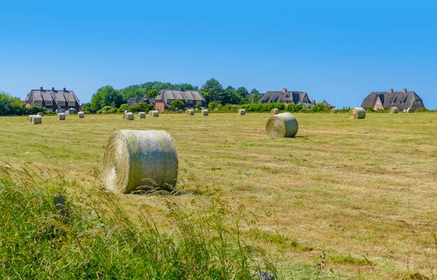 Sylt in Norddeutschland