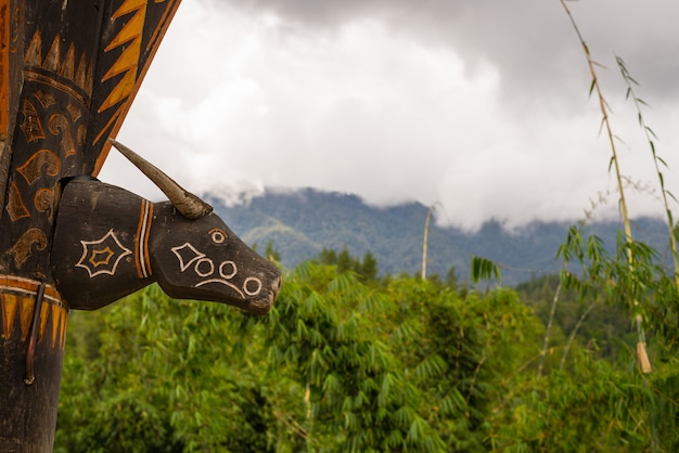 Symbol in Tana Toraja Sulawesi Indonesia