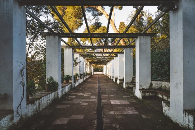 Foto symmetrischer blick auf den durchgang eines romantischen gartens, der von einer alten pergola bedeckt ist