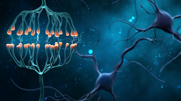 Synapsen- und Neuronenzellen senden elektrische chemische Signale