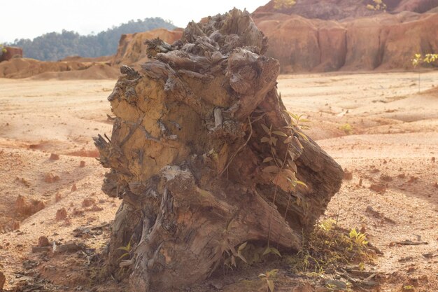 Szene rund um das verlassene Land aufgrund von Abholzung und Erdabbau