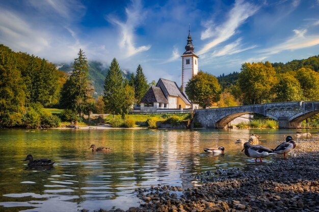 Szenische Ansicht der Kirche des Sees Bohinj mit schönem buntem Laub Slowenien