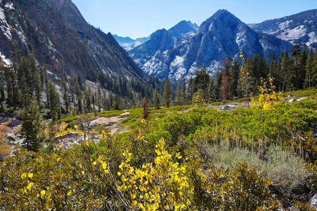 Szenische Ansicht des Sierra Nevada Mountain. Herbstlaublandschaft. Kalifornien, USA.