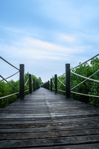 Szenische Gehwegbrücke Mangrove.