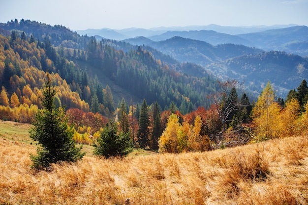 Szenische Herbstlandschaft