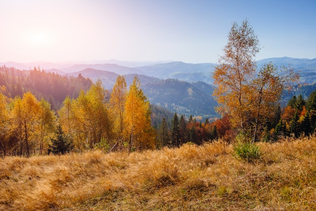 Szenische Herbstlandschaft