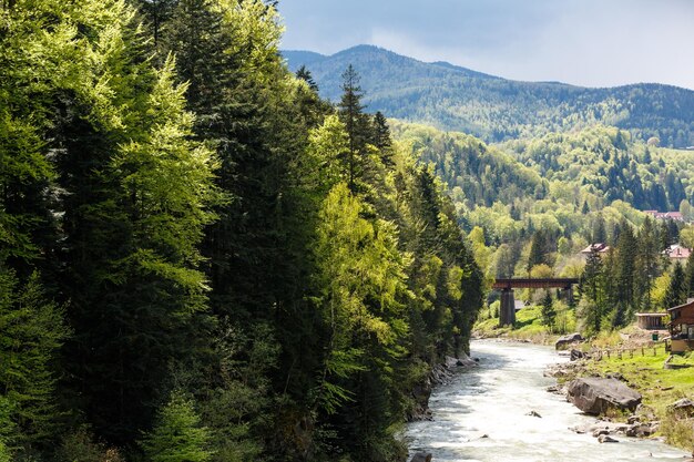 Szenischer Frühlingsblick auf den schnell fließenden Fluss Prut in der Nähe von Yaremche in der Karpatenregion in der Ukraine Reiseziele und Naturresorts in der Ukraine