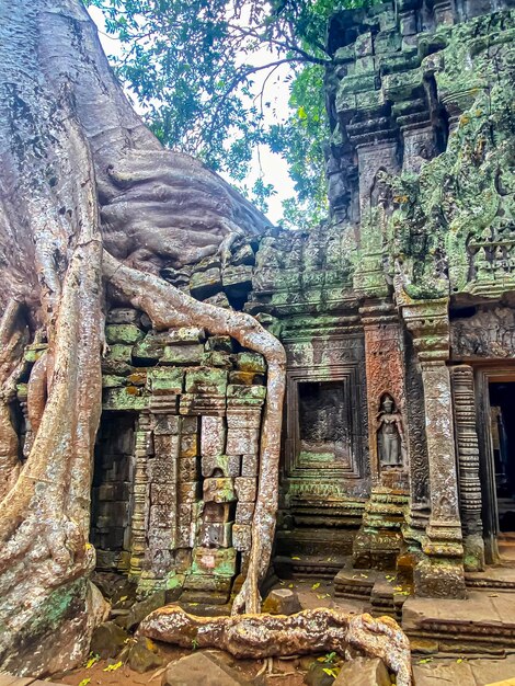 Ta Prohm ein geheimnisvoller Tempel der Khmer-Zivilisation, der sich auf dem Gebiet von Angkor in Kambodscha befindet