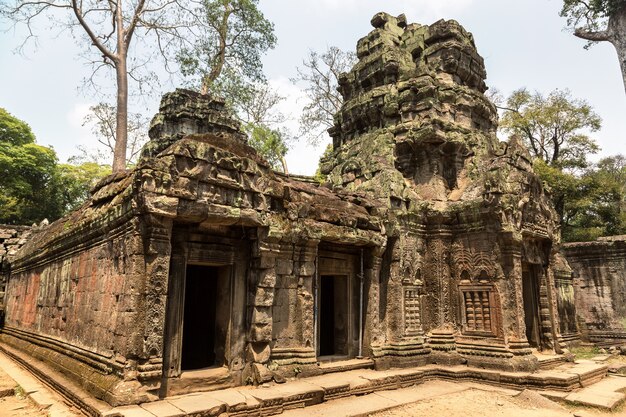 Ta Prohm Tempel Ruinen in Angkor Wat in Siem Reap, Kambodscha