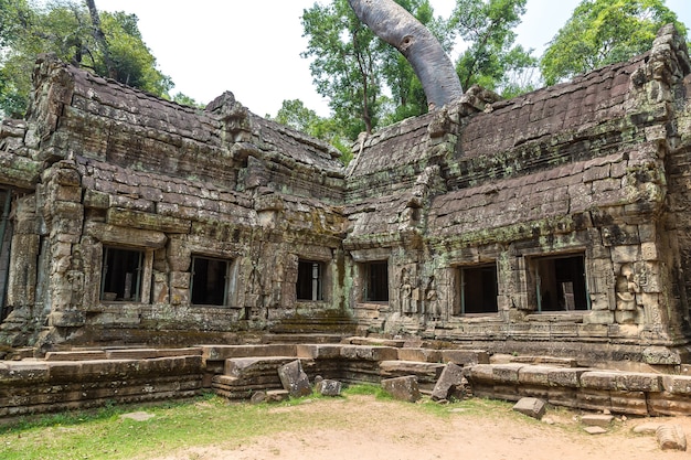 Ta Prohm Tempel Ruinen in Angkor Wat in Siem Reap