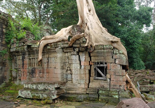 Ta Prohm