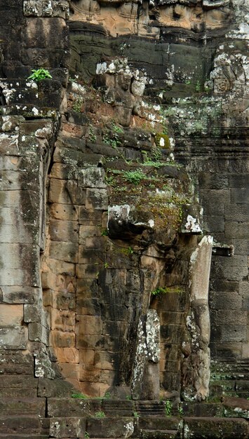 Ta Prohm