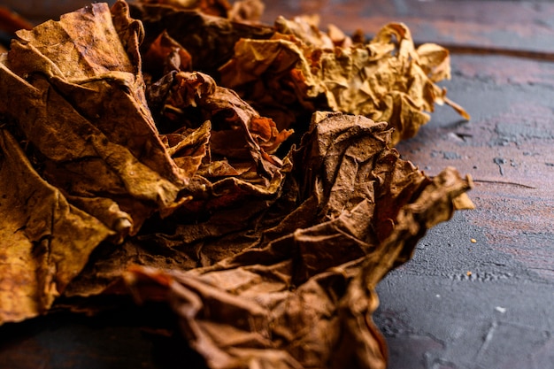 Tabaco de folhas secas close-up Nicotiana tabacum e folhas de tabaco em pranchas de madeira velhas mesa espaço de vista lateral escura para texto