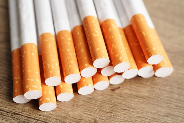 Tabaco de rolo de cigarro em papel com tubo de filtro Conceito de não fumar