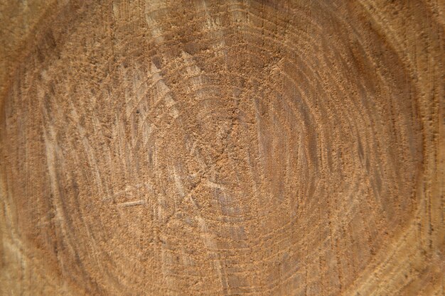 Tabla de cortar de madera rayada marrón. Textura de madera