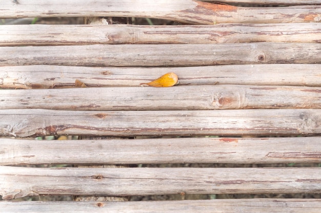 Una tabla de madera con una hoja amarilla