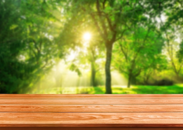 Tabla de madera marrón en fondo verde de la naturaleza de la falta de definición.