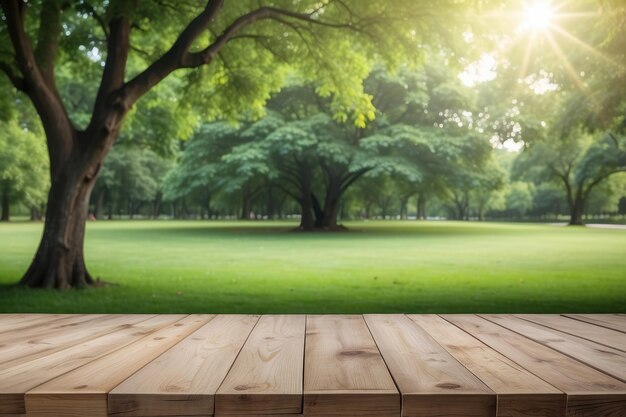 Tabla de madera vacía al aire libre parque verde fondo de la naturaleza plantilla de exhibición de productos