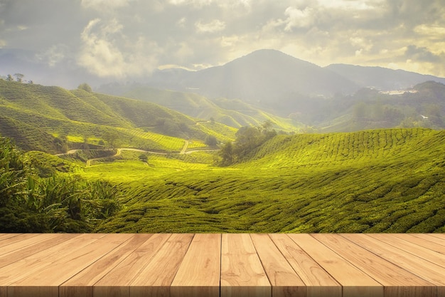 Tabla de madera vacía en el fondo del banner del jardín de té