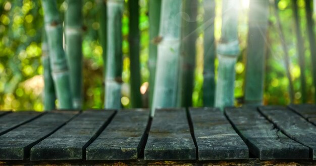 Tabla de madera vieja vacía con fondo de bosque de bambú para el montaje de productos papel tapiz natural horizontal