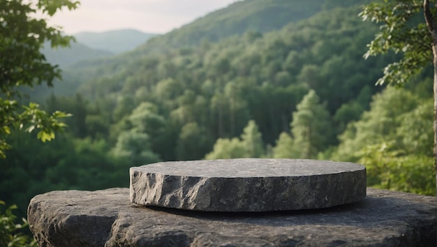 Tabla de piedra o plataforma de piedra vacía en 3D con fondo natural para la exhibición de productos