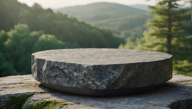 Tabla de piedra o plataforma de piedra vacía en 3D con fondo natural para la exhibición de productos