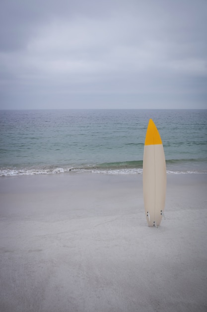 Tabla de surf con aletas y máscara de buceo