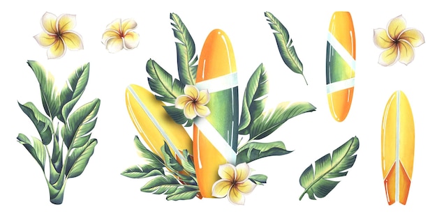 Tabla de surf en amarillo y verde con rayas con hojas tropicales y flores de plumeria Ilustración de acuarela dibujada a mano Conjunto de adhesivos de elementos aislados en un fondo blanco