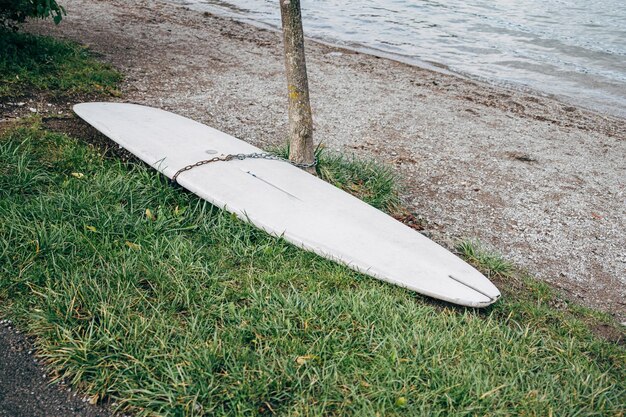 Foto tabla de surf encadenada a un árbol en un prado