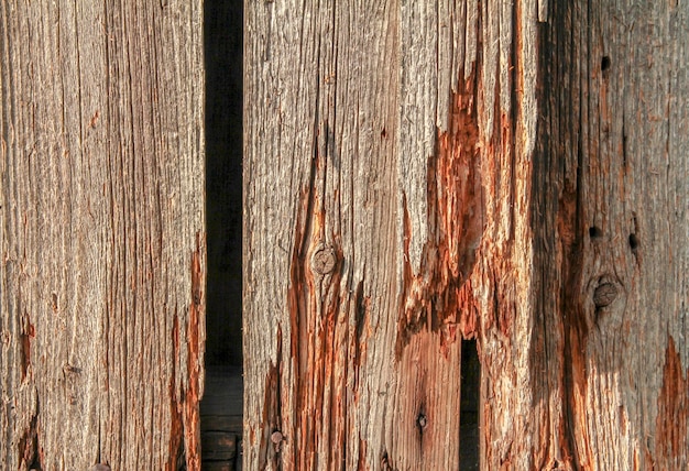 Tablas de madera desgarradas