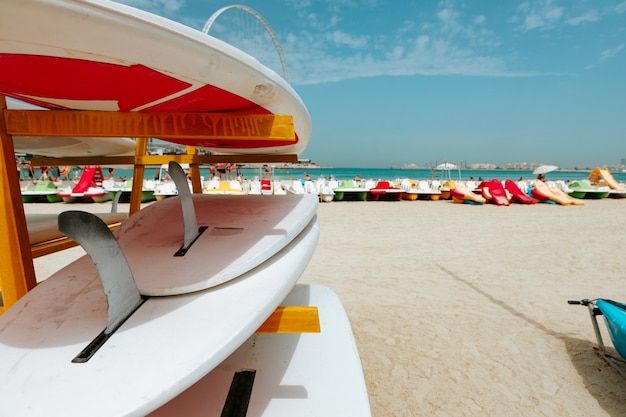 Tablas de surf apiladas en el estante en una playa