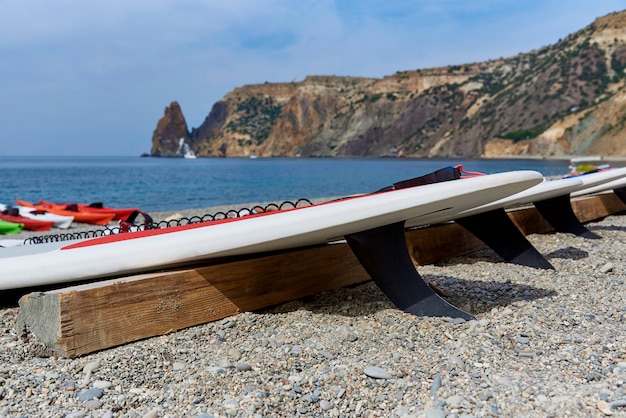 Tablas de surf en la playa.