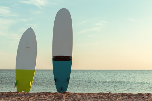 Tablas de surf en la playa