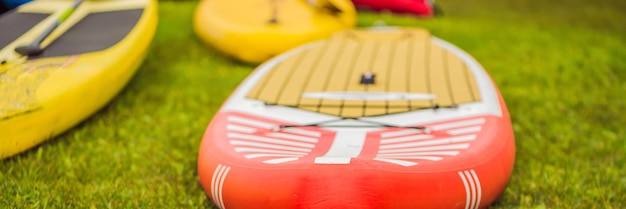 Tablas de surf tiradas en la hierba junto al lago del río o pancarta marina de formato largo