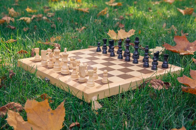 Tablero de ajedrez de madera y piezas sobre la hierba verde cubierta con hojas amarillas secas en el parque de la ciudad. Concéntrese en las piezas blancas.