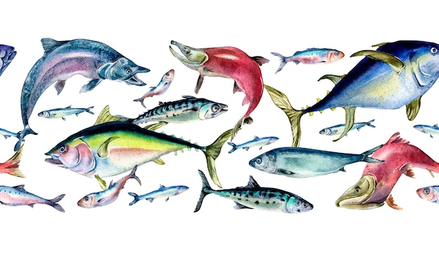 Tablero sin costuras de varias ilustraciones de acuarela de pescado de mar fresco aislado en blanco