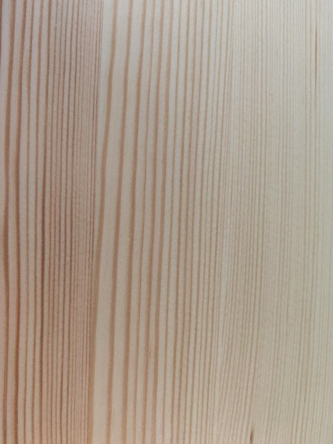 Tablero de fotos de textura de madera con fondo de fibra de madera